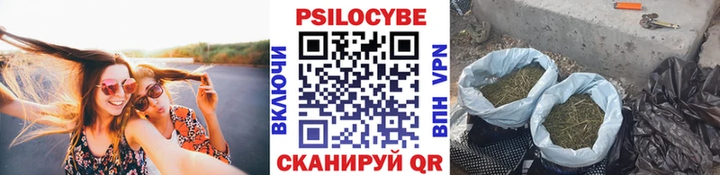 ОМГ ОМГ как зайти  Монино  Галлюциногенные грибы прущие грибы 